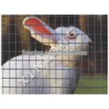 export hexagonal chicken netting / Hexagonal rabbit Wire Mesh